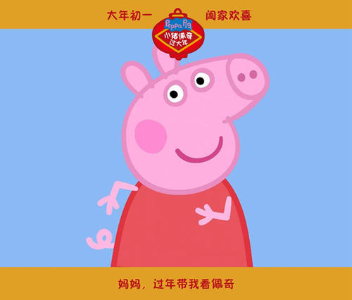 克拉克森大学学士成绩单